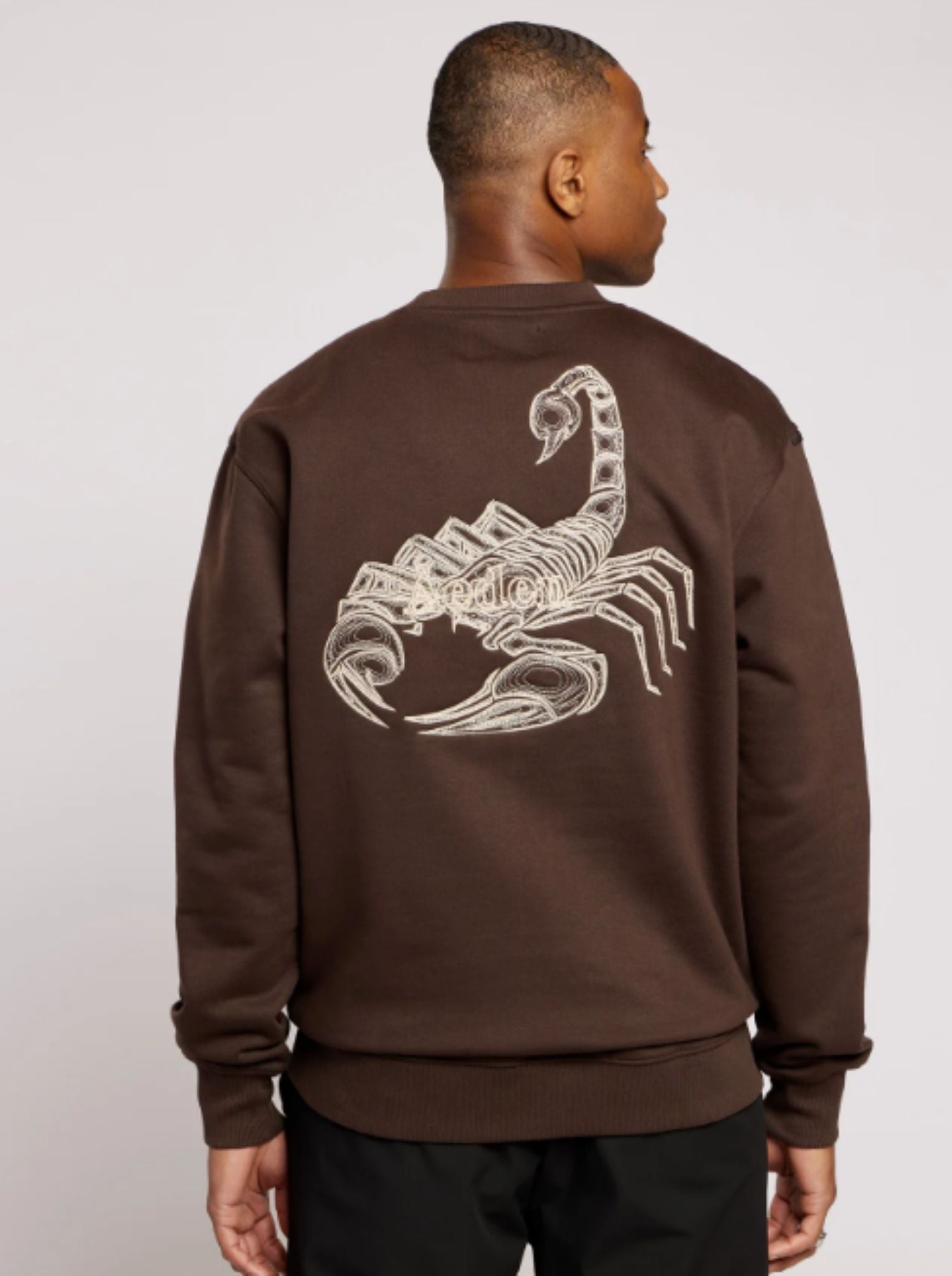 Aeden Scorpion Sweater | Ganache